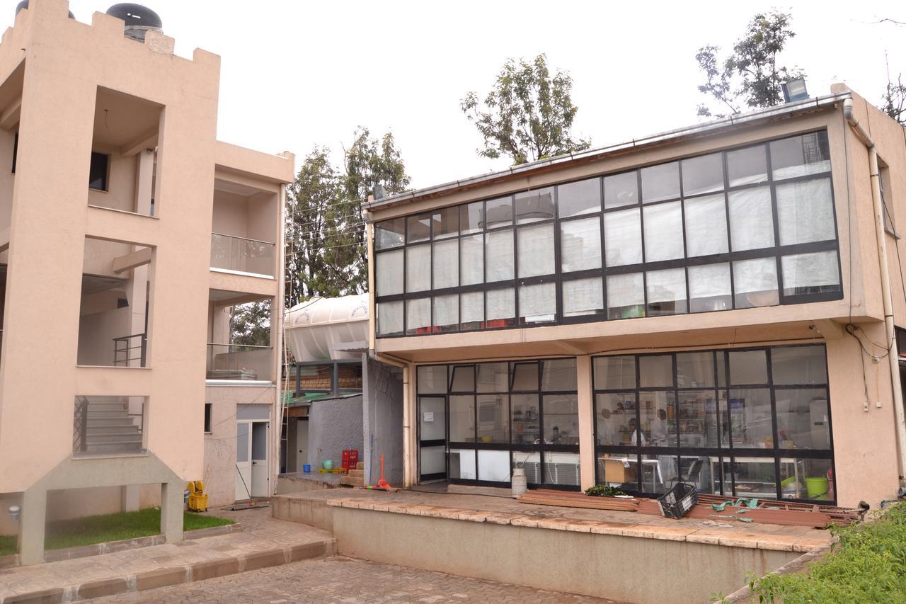 Grand Gato Hotel And Tours Harar Eksteriør bilde